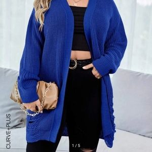 Blue Cardigan